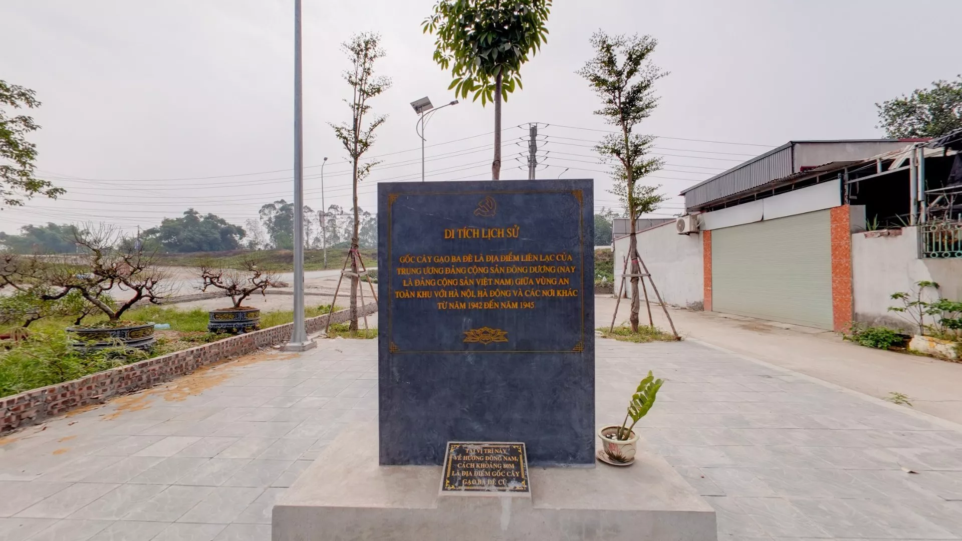 An toàn khu cây gạo Ba Đê (Tàm Xá)