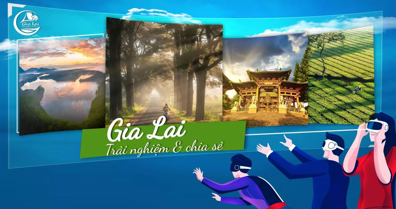 Hàng thông trăm năm - Cánh đồng chè